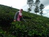 IMG-20170318-WA0143