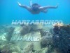 IMG-20170411-WA0077