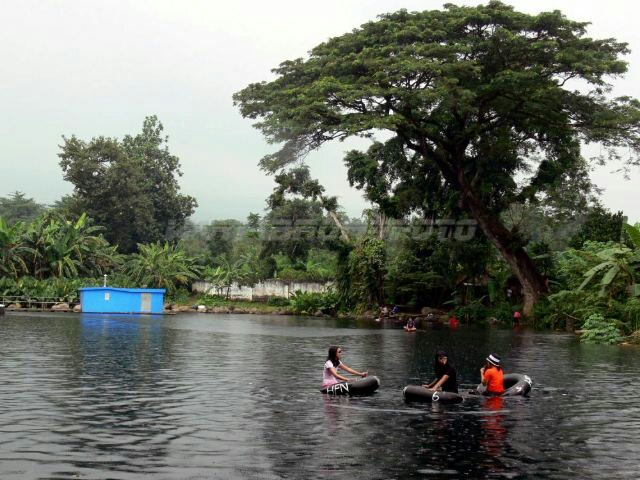 Kolam umbulan