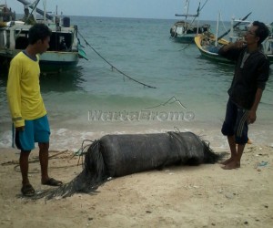 Benda mirip serpian Roket Falcon 9 yang ditemukan nelayan Gili Kepatapan, Probolinggo. (Foto: Sundari AW/wartabromo)