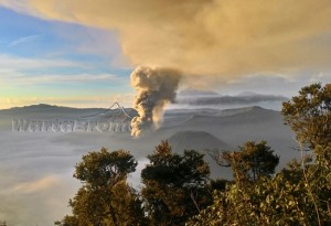 bromo senin