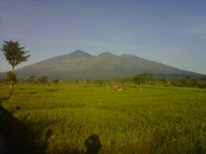 gunung arjuno