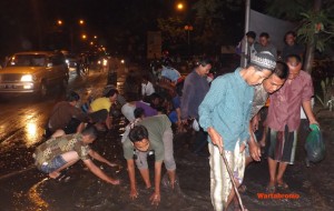 ikan lele pasuruan