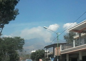 kebakaran gunung arjuno