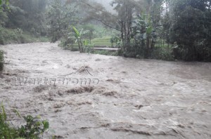 luapan sungai welang