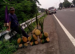 penjual durian pinggir jalan raya