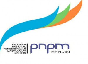 pnpm