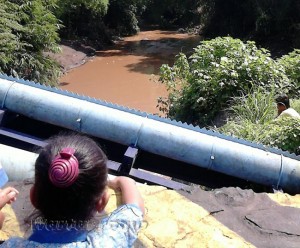 warga bekerumum di sungai 1