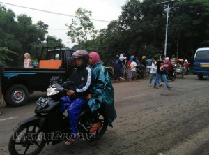 warga masih penasaran ular