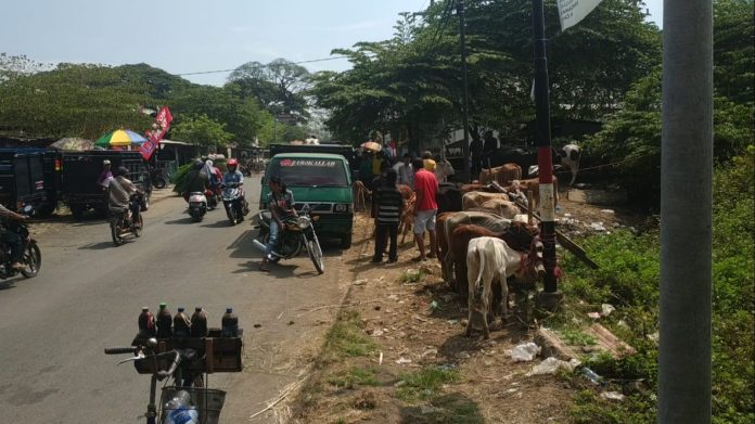 Warga Mengeluh, Pasar Hewan 