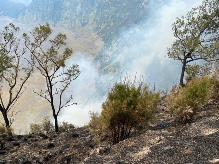 Puncak B-29 Argosari Kebakaran