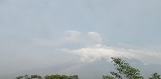 Gunung Semeru Masih Keluarkan Awan Panas Guguran