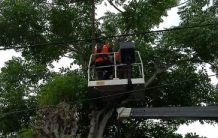 Pekerja Bengkel Tewas Kesetrum saat Potong Ranting