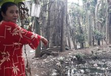 Lepas Pengawasan, Balita Tenggelam di Kubangan usai Sarapan