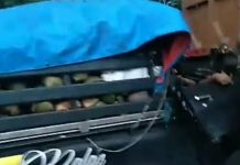 Muat Degan, Pikap Sasak Truk Parkir di Beji, Sopir Tewas