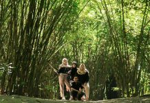 Hutan Bambu Lumajang