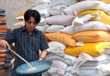 Stok Beras Kian Menipis, Harga Merangkak Naik