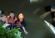 Pick Up Tercebur Sungai Bondoyudo, Satu Penumpang Tewas Pick Up Tercebur Sungai Bondoyudo, Satu Penumpang Tewas