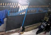 Hitungan Menit, Dua Motor Warga Leces Amblas Digondol Maling