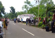 Sebelum Kecelakaan di Jalur Bromo, Tercium Kampas Hangus dari Bus