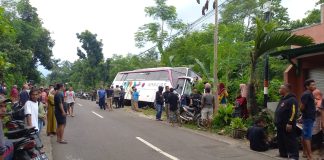 Sebelum Kecelakaan di Jalur Bromo, Tercium Kampas Hangus dari Bus