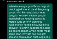 Dikira Kena Penyakit, Ternyata Ini Penyebab Urine Berubah Warna Setelah Makan Buah Naga
