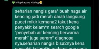 Dikira Kena Penyakit, Ternyata Ini Penyebab Urine Berubah Warna Setelah Makan Buah Naga