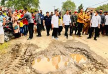 Jokowi Minta Warga Laporkan Jalan Rusak di Daerahnya, Warganet: Pasuruan Siap-siap!