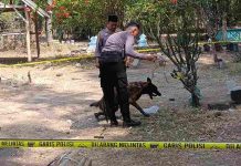 Buru Pelaku Pembunuhan, Polisi Kerahkan Anjing Pelacak di Alastlogo