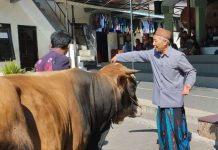 Pemkab Pasuruan Sebarkan 19 Ekor Sapi dan 79 Kambing Untuk Kurban