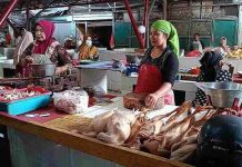 Harga Ayam Potong di Pasuruan Tembus Rp 42 Ribu Perkilo