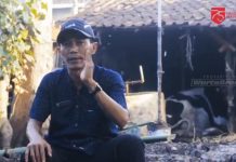 Kades di Lekok Dibacok hingga Laka Beruntun di Purwodadi | Koran Online 27 Jul Kades Balunganyar, Sholeh