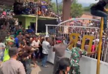 Sedekah Bumi Berebut Ancak Desa Dayurejo Memakan Korban, Ada yang Pingsan dan Meninggal Dunia