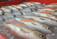Yummy! Ini 3 Olahan Bandeng Jelak Khas Pasuruan yang Lezat Sekali