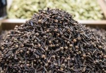 Kebun Penghasil Cengkeh Terbanyak di Pasuruan, Tutur Nyaris 250 Ton!