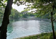 Salah Satu Danau Terindah di Probolinggo Ini Ternyata Menyerupai Waru!