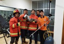 Bikin Geger! Ada Monyet Liar Nyasar Masuk Tempat Fitness, Tim Damkar Turun Tangan