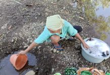 Mewaspadai Dampak El-Nino yang Bisa Picu Kekeringan Panjang