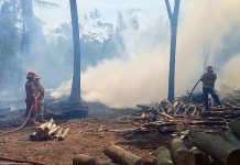 Tempat Pemotongan Kayu di Probolinggo Hangus Terbakar