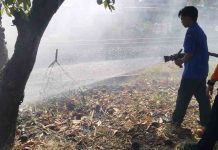 Kebakaran di Lahan Dekat Jalur Pantura hingga Jadwal Peringatan HUT RI di Kota Pasuruan | Koran Online 15 Ags