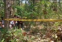 Geger Mayat Membusuk di Hutan Jati
