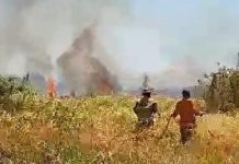 Kota Probolinggo Siaga, 31 Kasus Kebakaran Terjadi selama 3 Bulan
