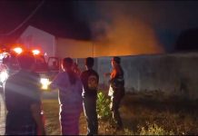 Gudang Kayu di Wonoasih Ludes Dilalap Api