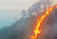 Tak Kunjung Padam, Kebakaran Gunung Arjuno Kian Meluas