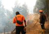 Kebakaran Lahan Hanguskan Vegetasi di Blok Bantengan Senduro