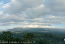 Semeru Luncurkan Dua Kali Awan Panas Guguran