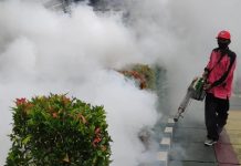 Kasus Kematian DBD di Probolinggo Tertinggi, Kemenkes: Temukan Penderita Sedini Mungkin