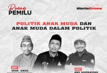 Ruang Pemilu