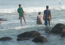 Berkah Musim Kemarau, Warga Pesisir Watu Pecak Berburu Kerang