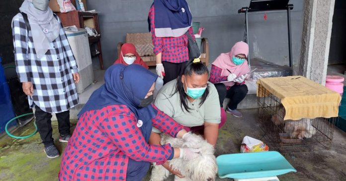 Bupati Larang Penjualan Daging Anjing di Kabupaten Probolinggo